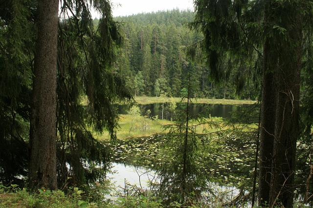 Huzenbacher See 2008 Bild 01